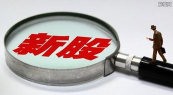 7只新股今日聯袂上市，盛天網絡領銜互聯網游戲服務板塊大漲44%遭臨停